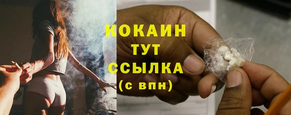 мяу мяу мука Михайловск