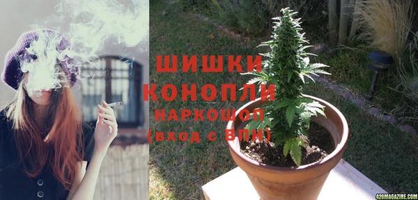 мяу мяу мука Михайловск