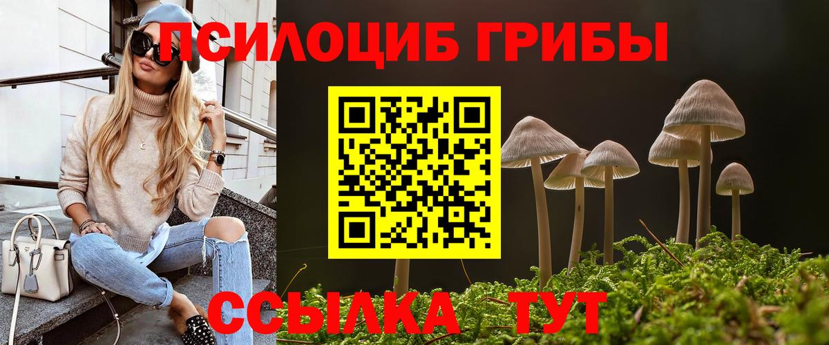 Псилоцибиновые грибы ЛСД  закладка  Тейково  Вход с VPN 
